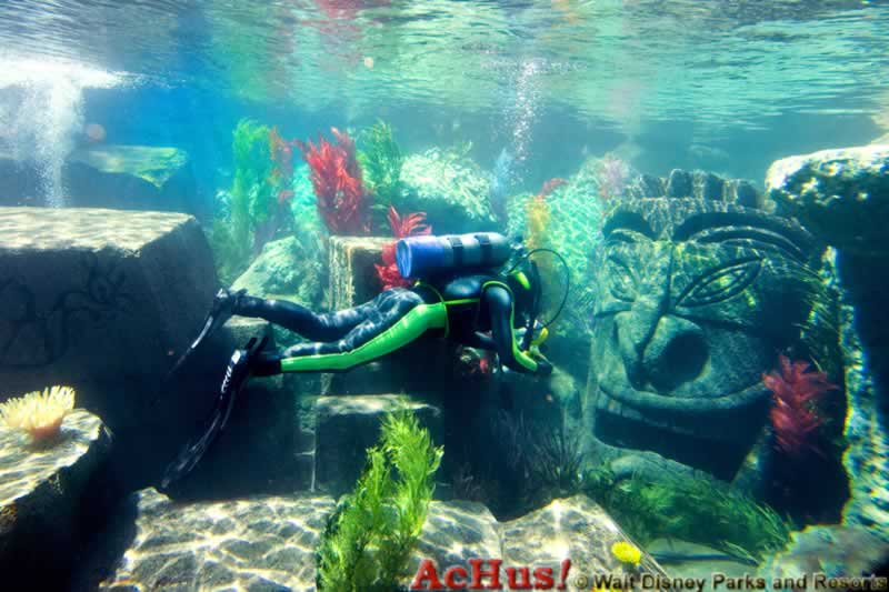 Imagen de Disneyland California  Looking for Nemo